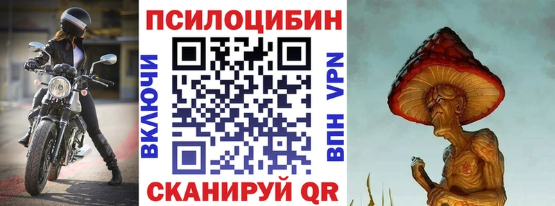 Купить закладки  Нижняя Тура  Псилоцибиновые грибы MAGIC MUSHROOMS 
